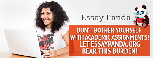 Cheap write my essay online research reports