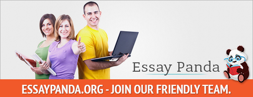 Custom essays cheap