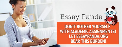 custom essay org