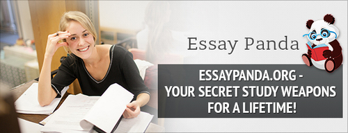 Write My Essay | Online Essay Writing Services For $7 Per Page
